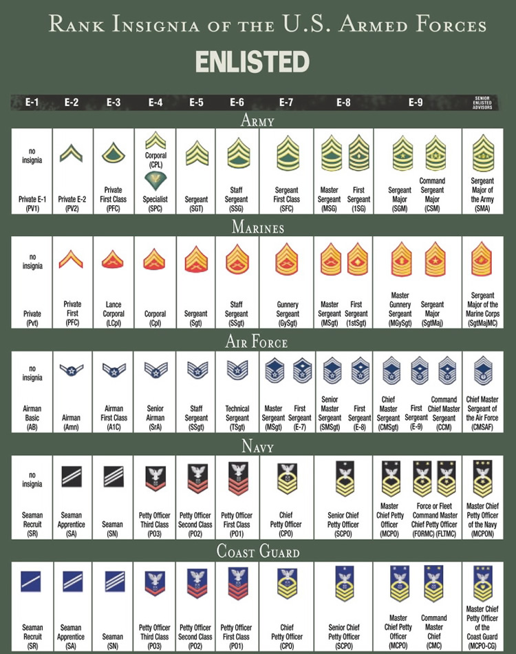 military ranks chart all branches